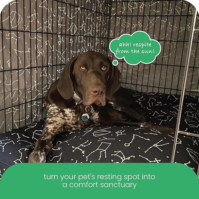 Molly Mutt Rocketman Dog Crate Cover, 100% Cotton Canvas Cover with 2 Roll-Up Panels, Ideal for Dog or Cat Crate, Durable, Washable, and Free of Harmful Chemicals, 30" x 21" x 24"