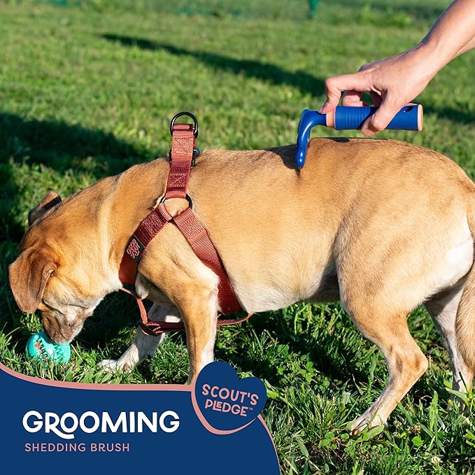 Good Scout Stainless Steel Pet Hair Rake, Best Deshedding Tools for Dogs & Cats, Gentle, Safe & Effective Grooming Tool for Long & Short Haired Animals