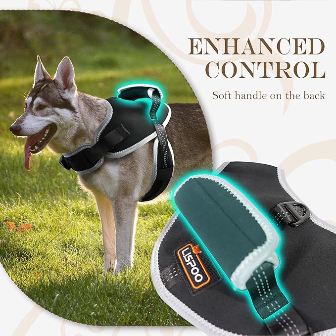 Reflective No Pull Dog Harness for Medium Dogs, Easy Control Dog Vest Harness, Breathable Mesh Harness, Comfortable and Adjustable, Metal Ring and Control Handle, Black M