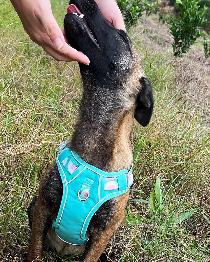 Petank Dog Harness for Small Dogs, Dog Harness with Handle, Large Dog Harness, Puppia Dog Harness, Dog Vest Harness, Dog Harness No Pull, Puppy Harness, Green Dog Harness. (Green, L)