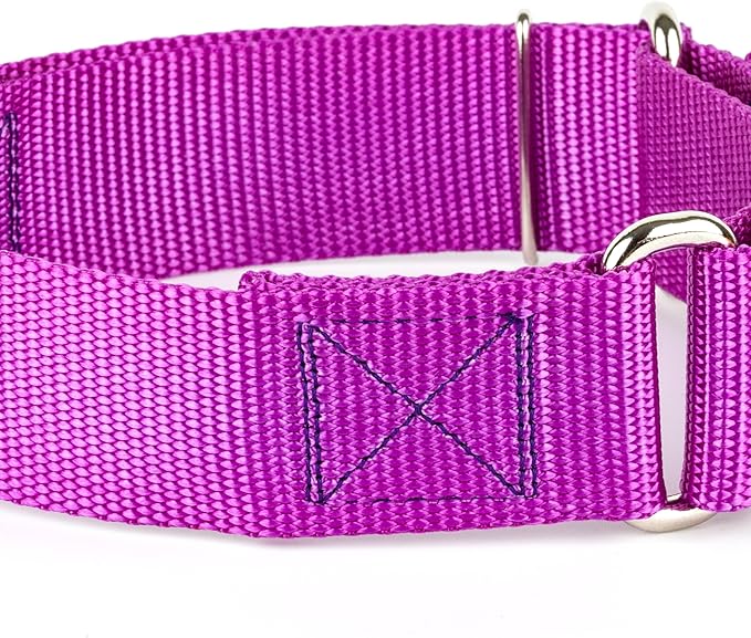 Country Brook Petz - Vibrant 18 Color Selection - 1 1/2 Inch Martingale Heavyduty Nylon Dog Collar (Large, Bright Purple)
