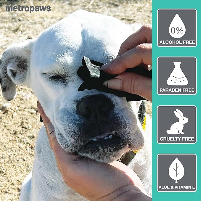 MetroPaws Peppermint Dog Wipes, 100 Extra Large, Thick Cleaning Wipes & The Dog Waste Bag Dispenser & Holder, Bag Holder With 20 Bags for Leash - Purple