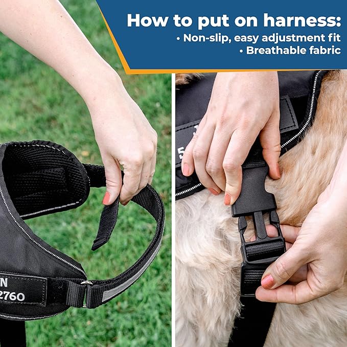 GoTags No-Pull Dog Harness with Custom Name and Phone Number, Personalized for Large, Medium and Small Dogs, Service Vest No Tugging, Pulling, or Choking for Training (Black, XL)