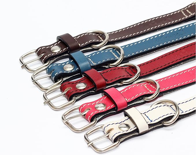 Premium Leather Collars with Stainless Steel Buckles (9"-12", Blue)