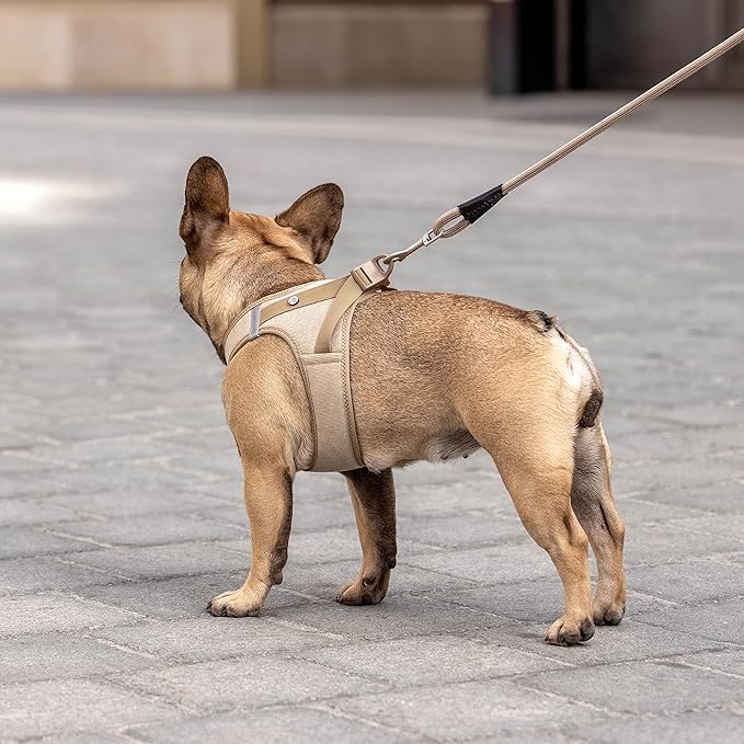 Vest Harness curli Clasp Cord Black XS