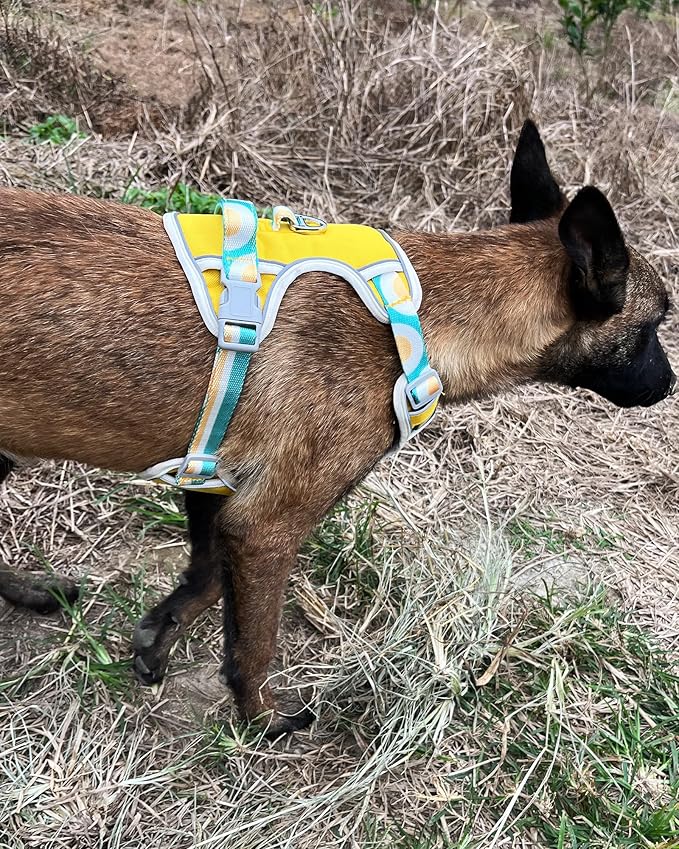 Petank Dog Harness for Small Dogs, Dog Harness with Handle, Large Dog Harness, Puppia Dog Harness, Dog Vest Harness, Dog Harness No Pull, Puppy Harness, Yellow Dog Harness. (Yellow, L)
