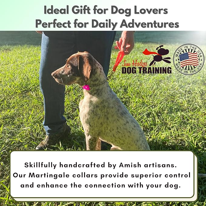 Martingale Collar for Dogs, Biothane, Stainless Steel Hardware, No Pull, Made in The USA, Professional Grade, XL, Pink