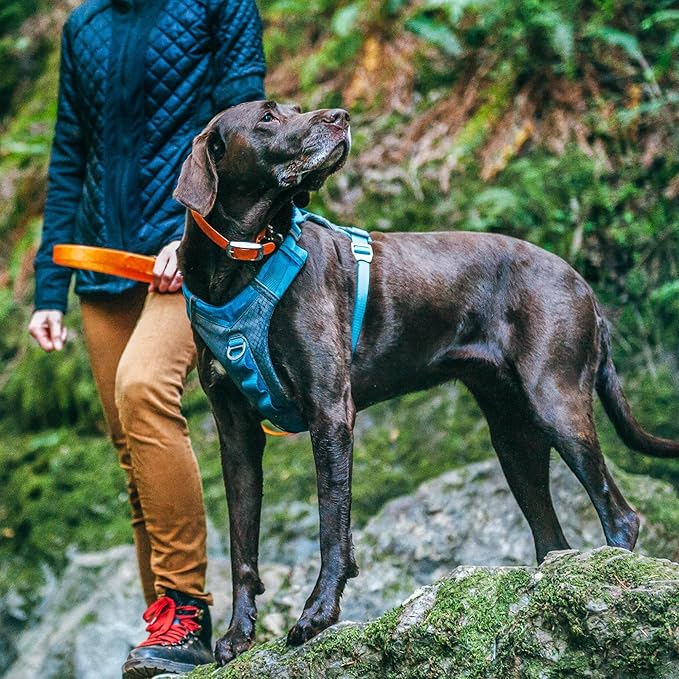 Kurgo Journey Air Dog Harness, Vest Harnesses for Dogs, Pet Hiking Harness for Running & Walking, Reflective, Padded, Includes Control Handle, No Pull Front Clip (Blue, Medium)