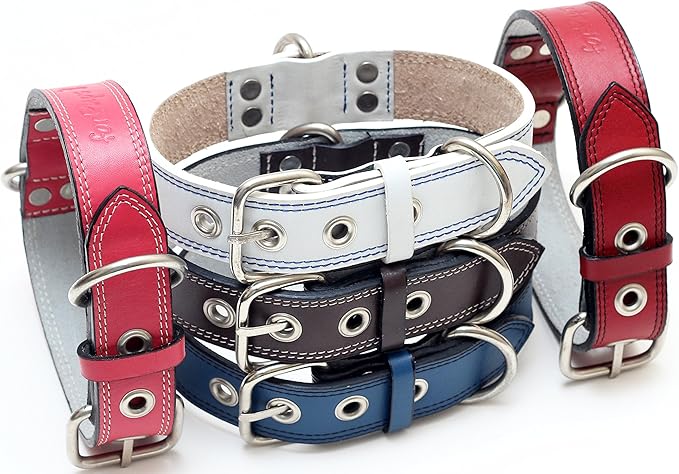 Premium Leather Collars with Stainless Steel Buckles (15"-18", Pink)