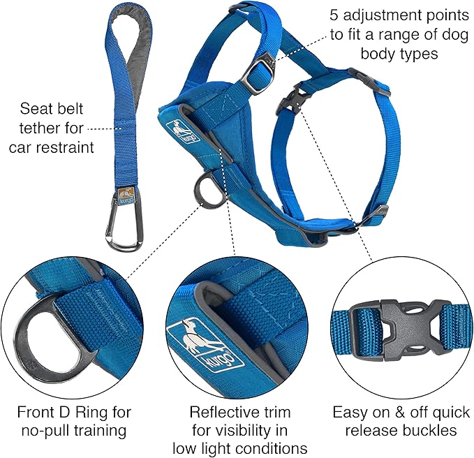 Kurgo Tru-Fit Smart Harness, Dog Harness, Pet Walking Harness, Quick Release Buckles, Front D-Ring for No Pull Training, Includes Dog Seat Belt Tether (Blue, Large)