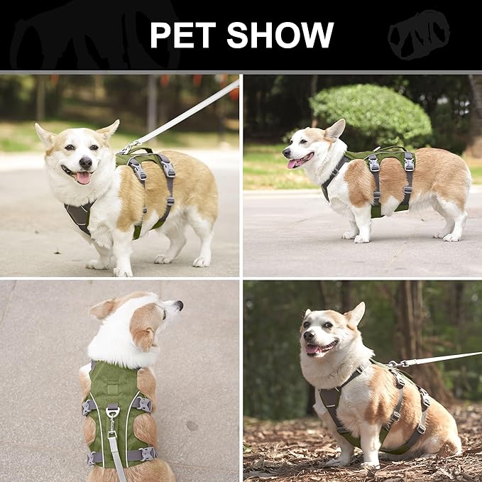 Dog Harness Medium Sized Dog Escape Proof Dog Harness with Handle, Reflective Dog Vest, Breathable Soft Full Body Pet Harness for Walking, Training (Green, M)