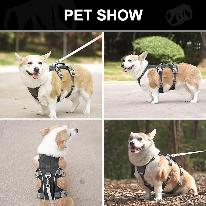 Dog Harness Medium Sized Dog Escape Proof Dog Harness with Handle, Reflective Dog Vest, Breathable Soft Full Body Pet Harness for Walking, Training (Black, M)