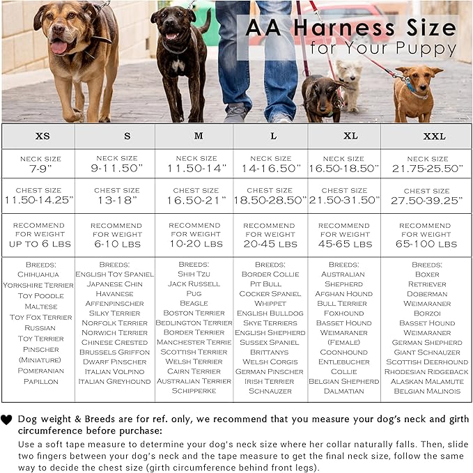 Angie and Allie Organic Cotton Dog Harness,No Pull Pet Harness with Leash D-Ring,Adjustable Soft Padded Dog Vest,Comfortable,Sustainable,Breathable and Stylish for Your Canine Companion