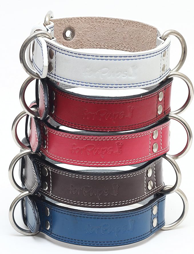 Premium Leather Collars with Stainless Steel Buckles (21"-24", White)