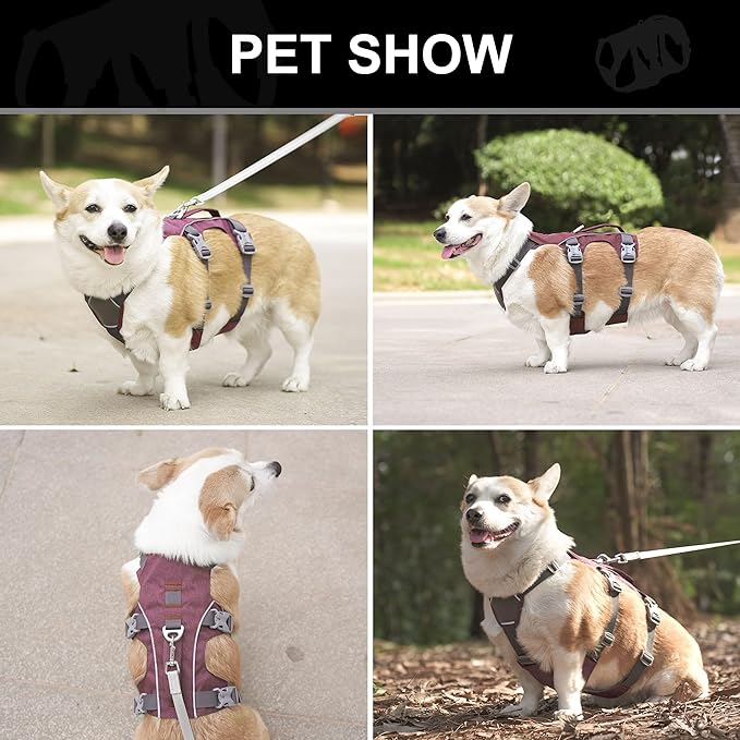 Dog Harness Medium Sized Dog Escape Proof Dog Harness with Handle, Reflective Dog Vest, Breathable Soft Full Body Pet Harness for Walking, Training (Red, M)