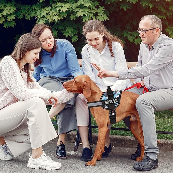 Dogline Unimax Service Dog Harness Vest with Removable Service Dog Patches Adjustable Straps Breathable Neoprene for Medical Identification Training Dogs Girth 18 to 25 in Blue Camo