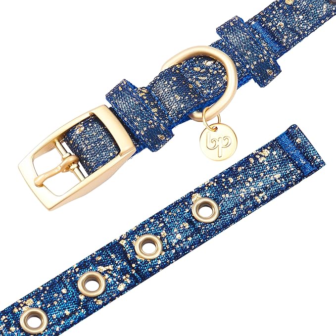 Blueberry Pet 4 Colors Glam Life Gold Stamping Lace Adjustable Dog Collar in Classy Navy, Neck 9-12.5", for Small Breed