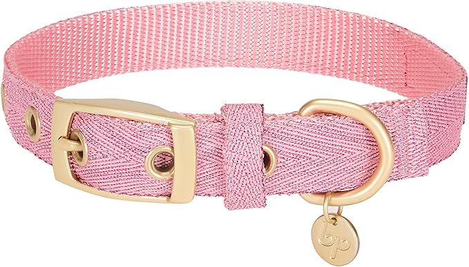 Blueberry Pet 6 Colors The Most Coveted Designer Mixed Metallic Thread Adjustable Dog Collar in Dazzling Tinsel Pink with Metal Buckle, Neck 7.5-10", for Small Breed