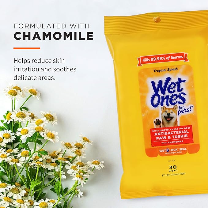 Wet Ones for Pets Paw & Tushie Dog Wipes with Chamomile,Dog Wipes for All Dogs in Tropical Splash Scent Dog Grooming Wipes,Dog Bathing Supplies,Pet Wipes for Paw and Butt(Pack of 24,720 Count)