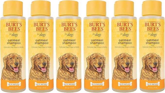 Burt's Bees for Dogs Natural Oatmeal Dog Shampoo | With Colloidal Oat Flour & Honey | Cruelty Free, Sulfate & Paraben Free, pH Balanced for Dogs - Made in USA, 16 Oz - Pack of 6