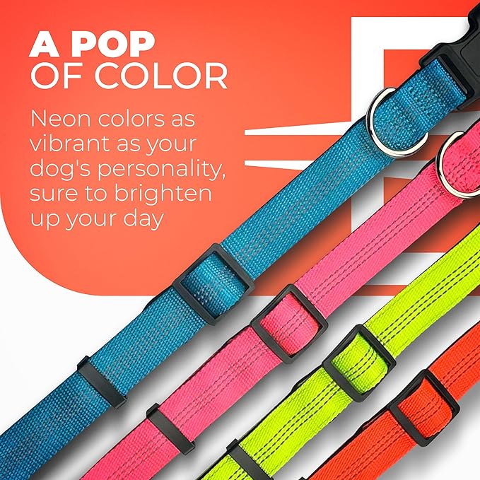 BLAZIN 'Color Me Happy!' Reflective Dog Collar for Day and Night - Adjustable Soft Neoprene Padded Dog Collar in 4 Vibrant Colors - Keeps Dogs Safe and Stylish - for Every Day Use (Large, Orange)