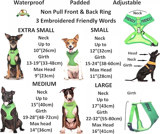 Friendly (Known as Friendly to All) Green Colour Coded Non-Pull Front and Back D Ring Padded and Waterproof Vest Dog Harness Prevents Accidents by Warning Others of Your Dog in Advance (S)