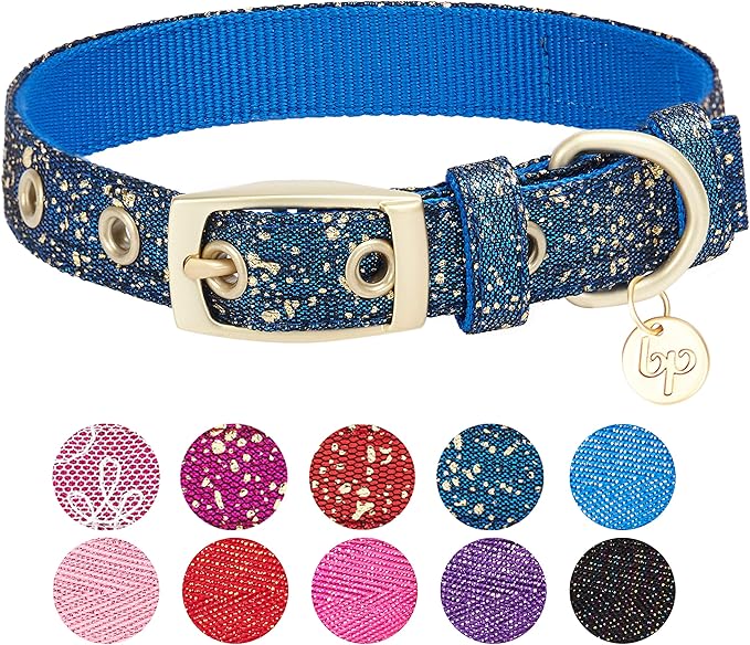 Blueberry Pet 4 Colors Glam Life Gold Stamping Lace Adjustable Dog Collar in Classy Navy, Neck 9-12.5", for Small Breed