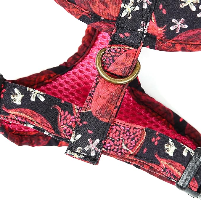 Angie and Allie Organic Cotton Dog Harness,No Pull Pet Harness with Leash D-Ring,Adjustable Soft Padded Dog Vest,Comfortable,Sustainable,Breathable and Stylish for Your Canine Companion