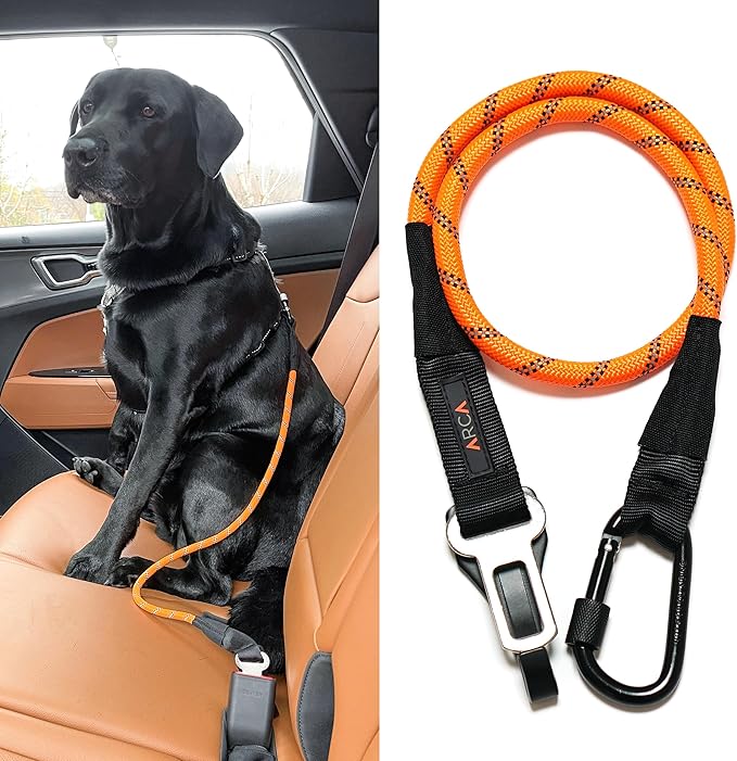 Dog Seat Belt for Car | Universal Dog Car Seatbelt | Durable Reflective Dog Seatbelt with Clip Hook Latch, Buckle and Carabiner- Safe and Secure Pet Safety Restraint for Dog (Orange)