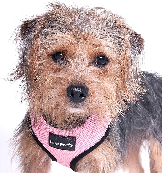 Step in- Dog Harness for Small Dogs No-Pull - Step Instep in Dog Harness - Padded Mesh Fabric Dog Vest - Adjustable Belly Belt & Quick-Snap Clip - Pink - 15 in - Extra Large Dog Harness