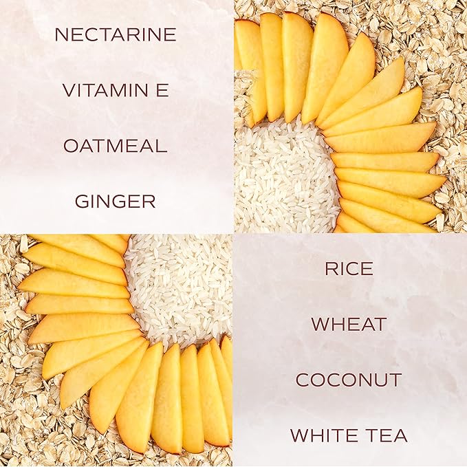 TropiClean SPA Lavish Dog Shampoo | Sporty Scented For Him Deodorizing Dog Shampoo | Naturally Derived Salon Grade Ingredients | Made in the USA | 1 Gallon