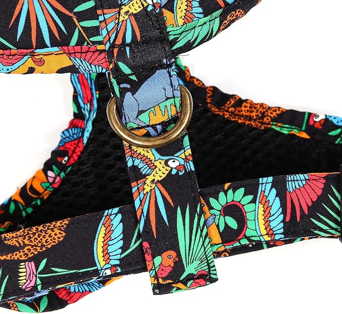 Angie and Allie Organic Cotton Dog Harness,No Pull Pet Harness with Leash D-Ring,Adjustable Soft Padded Dog Vest,Comfortable,Sustainable,Breathable and Stylish for Your Canine Companion