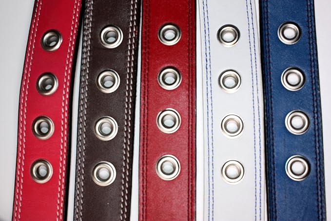 Premium Leather Collars with Stainless Steel Buckles (21"-24", White)