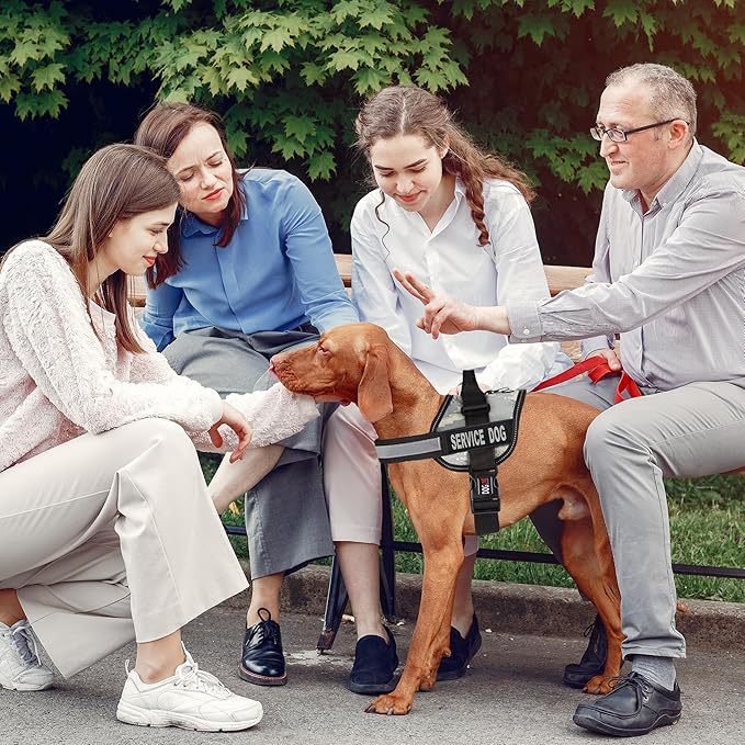 Dogline Unimax Service Dog Harness Vest with Removable Service Dog Patches Adjustable Straps Breathable Neoprene for Medical Identification Training Dogs Girth 15 to 19 in Urban Camo