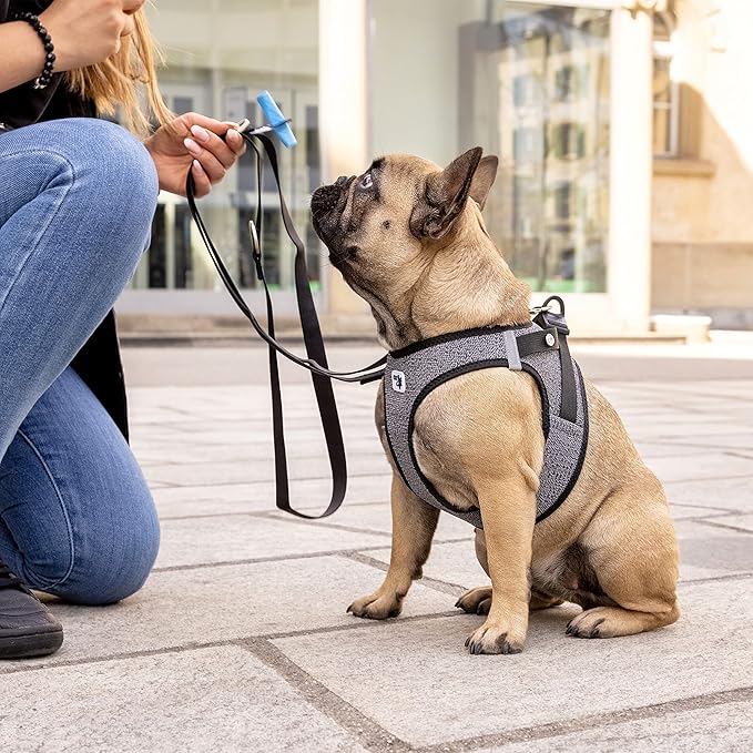 Vest Harness Merino curli Clasp Black XL