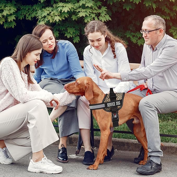 Dogline Unimax Dog Harness Vest with Service Dog Patches Reflective No-Pull, Adjustable Straps, Breathable Neoprene for Medical, Service, Identification and Training Dogs Girth 18 to 25" Leopard Brown