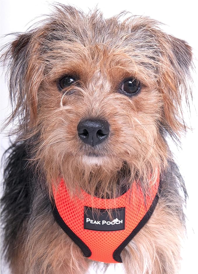 Step in- Dog Harness for Small Dogs No-Pull - Step Instep in Dog Harness - Padded Mesh Fabric Dog Vest - Adjustable Belly Belt & Quick-Snap Clip - Purple - 15 in - Extra Large Dog Harness