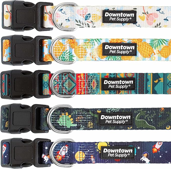 Downtown Pet Supply - Best, Cute & Fancy Dog Collar - Lightweight Adjustable Dog Collar with Quick Buckle & D-Ring - Hand Wash Safe - Tribal - L - Large Dog Collar