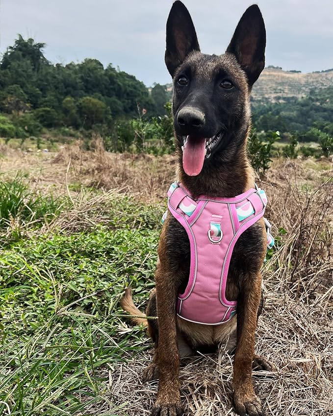 Petank Dog Harness for Small Dogs, Dog Harness with Handle, Large Dog Harness, Puppia Dog Harness, Dog Vest Harness, Dog Harness No Pull, Puppy Harness, Pink Dog Harness. (Pink, L)