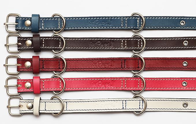 Premium Leather Collars with Stainless Steel Buckles (9"-12", Pink)