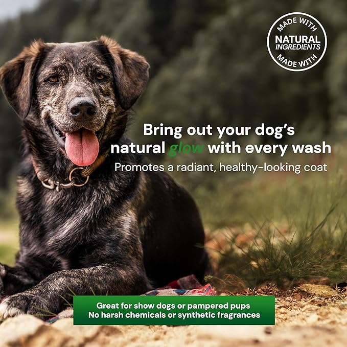 Nourishing Dog Shampoo and Conditioner – Natural Shine Formula with Caviar, Aloe & Bergamot for Sensitive Skin, Moisturizes & Protects, 16oz Bottle, 473 ml, Made in USA