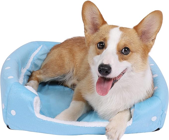 Spring Fever Hamster Guinea Pig Rabbit Dog Cat Chinchilla Hedgehog Bird Small Animal Pet Bed House Hideout Cage Accessorie A Blue M (14.2 * 14.2 inch)