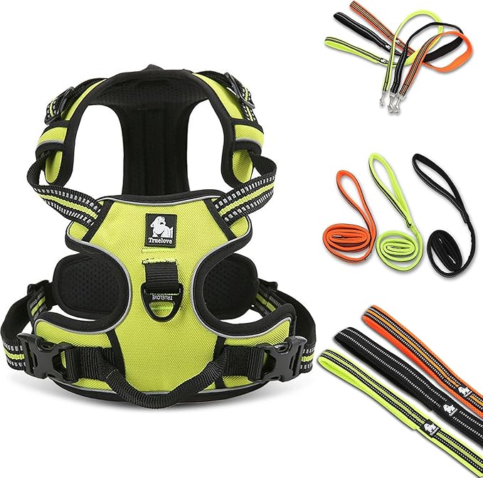 Reflective Nylon No-Pull Dog Harness and Training Leash Set Padded Durable Adjustable(XS, Green Set)