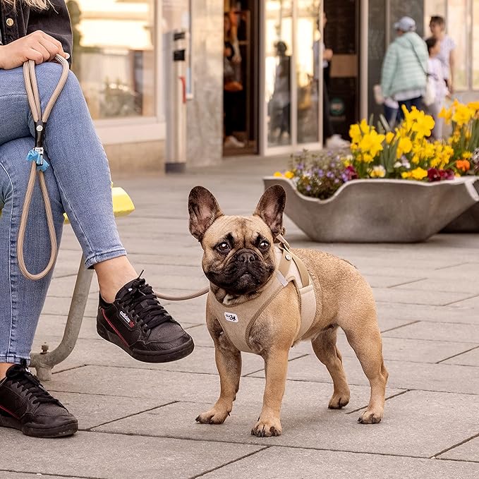 Vest Harness curli Clasp Cord Black M