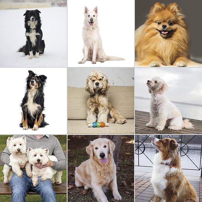 Wahl USA Pet-Pro Corded Clipper & Battery Trimmer Pet Grooming Combo Kit for Dogs with Light to Thick Coats, The Brand Used by Professionals - Model 9284