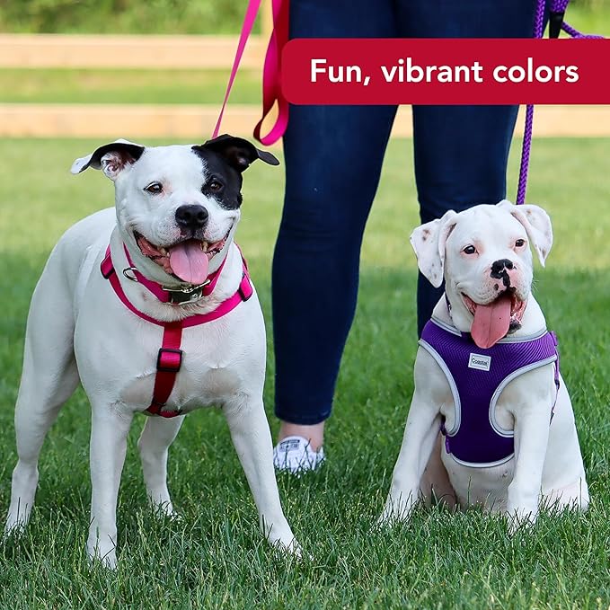 Coastal Pet Comfort Soft Reflective Wrap Adjustable Dog Harness - No-Pull Dog Harness for Small & Large Dogs - Purple - 1" x 28"–36"