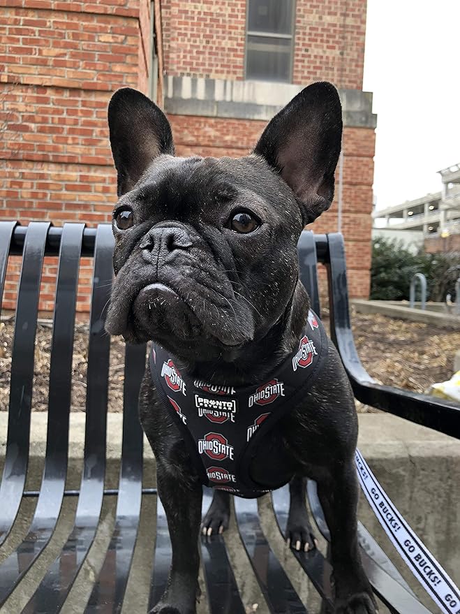 Ohio State | OSU Logo Reversible Pet Harness