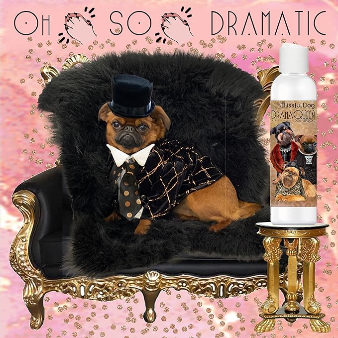 The Blissful Dog Brussels Griffon Drama Queen Dog Shampoo, 8 oz.
