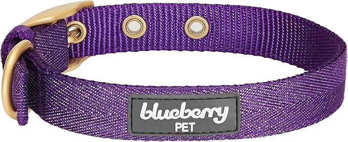 Blueberry Pet 6 Colors The Most Coveted Designer Mixed Metallic Thread Adjustable Dog Collar in Dazzling Tinsel Purple with Metal Buckle, Neck 13-16.5", for Medium Breed