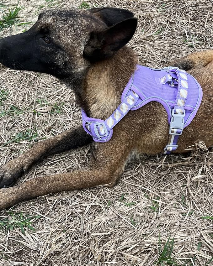 Petank Dog Harness for Small Dogs, Dog Harness with Handle, Large Dog Harness, Puppia Dog Harness, Dog Vest Harness, Dog Harness No Pull, Puppy Harness, Purple Dog Harness. (Purple, L)